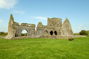 ruins of Hore Abbey, County Tipperary, Ireland